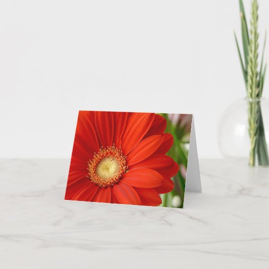 Gerbera Kaart (Voorkant)