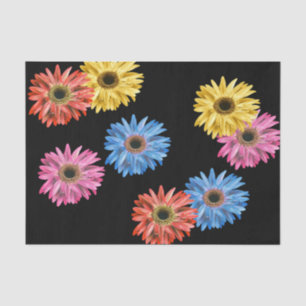 Gerbera Madelief Kleurrijk Eenvoudig Mooie Gerber Tissuepapier