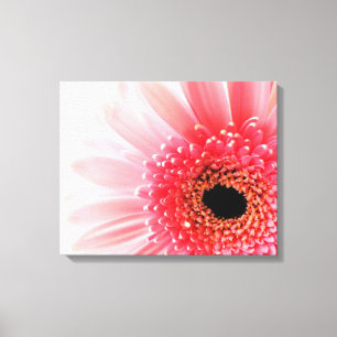 Gerbera Madeliefje   Canvas Afdruk