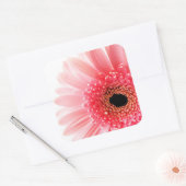 Gerbera Madeliefje Vierkante Sticker (Envelop)
