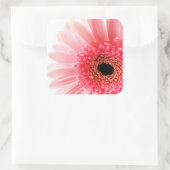 Gerbera Madeliefje Vierkante Sticker (Tas)