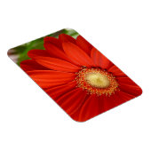 Gerbera Magneet (Rechterzijde)
