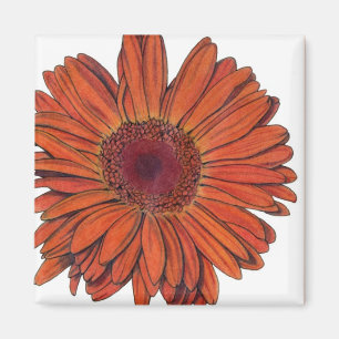 Gerbera Magnet