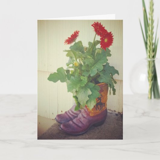 "Gerbera-Margriet Cowboylaarzen" Beterschapkaart Kaart (Voorkant)