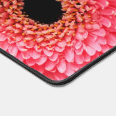 Gerbera marguerite (Coin)