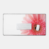 Gerbera marguerite (Clavier et souris)