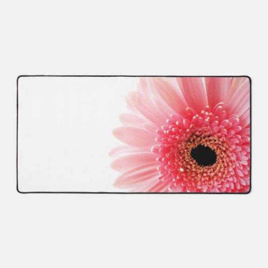 Gerbera marguerite (Recto)