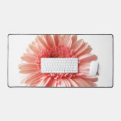 Gerbera marguerite (Clavier et souris)