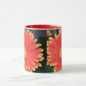 Gerbera Mok (Midden)