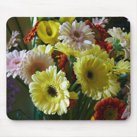 Gerbera Muismat (Voorkant)