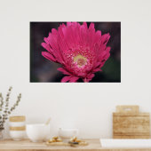 Gerbera op canvas afdrukken laten bloeien poster (Keuken)