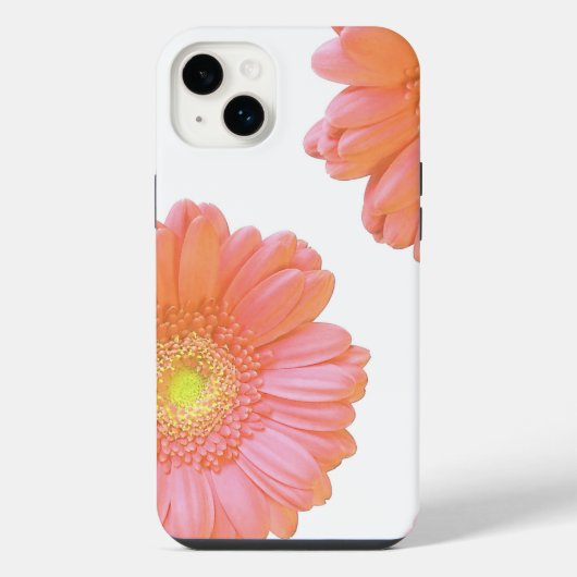 Gerbera orange (Verso)