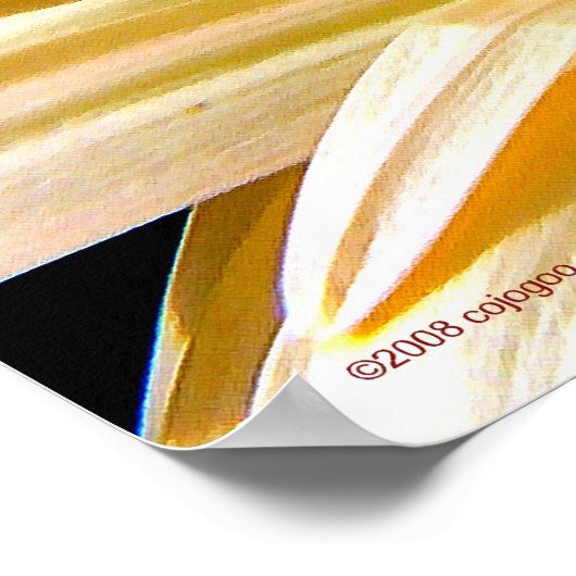 Gerbera Poster (Hoek)