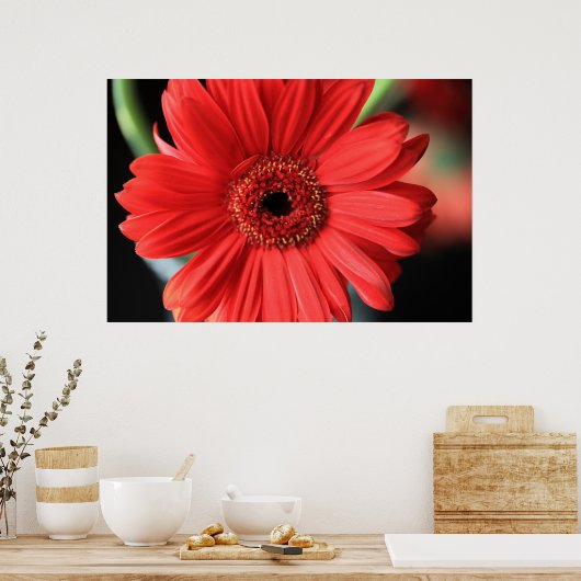 Gerbera Poster (Keuken)