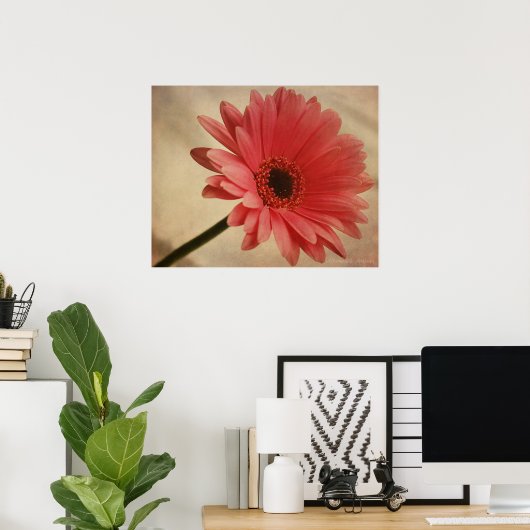 Gerbera Rose - Impression photographique (Bureau à domicile)