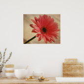 Gerbera Rose - Impression photographique (Cuisine)