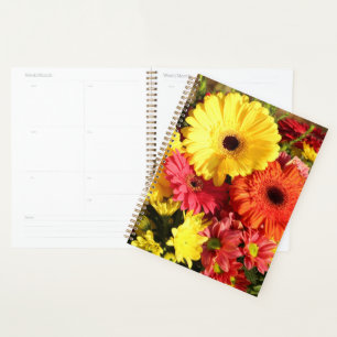 Gerbera rouge jaune Chrysanthème Fleurs
