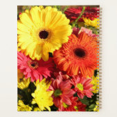 Gerbera rouge jaune Chrysanthème Fleurs (Dos)
