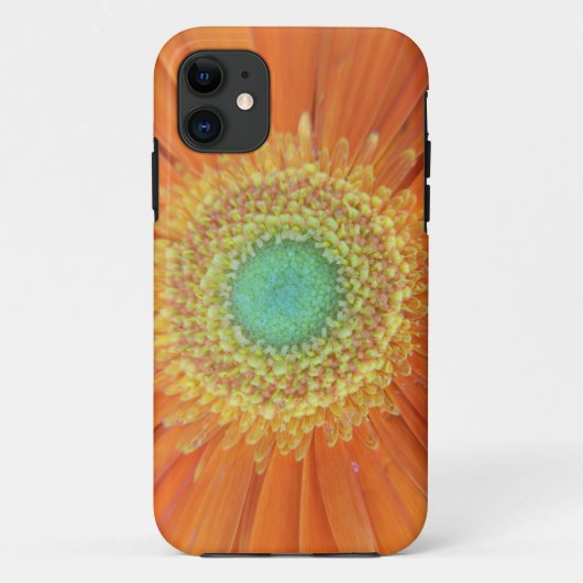 Gerbera Sun Case-Mate iPhone Case (Achterkant)