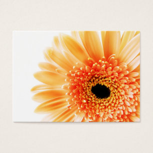 Gerbera Visitekaartje
