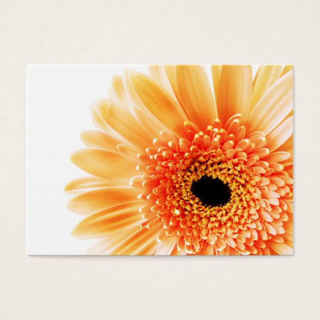 Gerbera Visitekaartje (Voorkant)