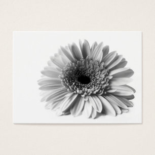 Gerbera Visitekaartjes