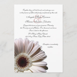 Gerbera Wedding Daisy Kaart