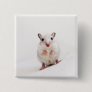 Gerbil Baby Animal Cute Pet Gerbils Sjabloon Vierkante Button 5,1 Cm