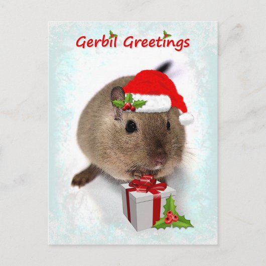 Gerbil Greetings Briefkaart (Voorkant)