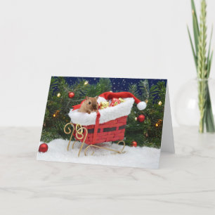 Gerbil Kerstmis Kaart