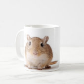 Gerbil mok (Voorkant links)