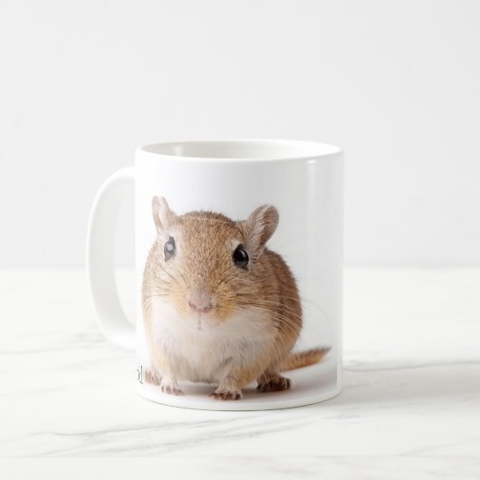 Gerbil mok (Voorkant links)