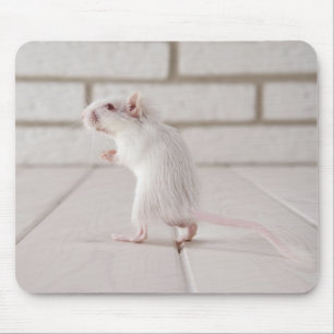 Gerbil staande muismat