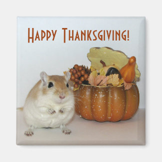 Gerbil Thanksgiving magneet
