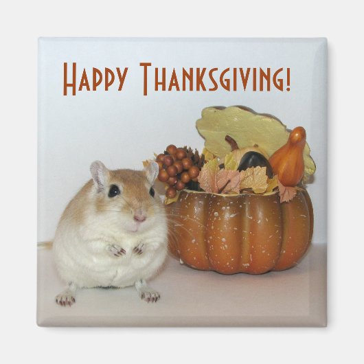 Gerbil Thanksgiving Magnet (Devant)