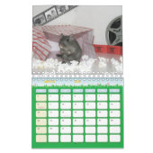 Gerbils 2010 kalender (Mar 2026)