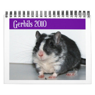 Gerbils Calendar (Reprint) Kalender