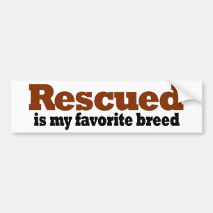 Gered wordt Mijn Favoriet Ras Bumpersticker