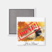 Gereed-Hij is verhoogd in delen Magneet (Voorkant / Achterkant)