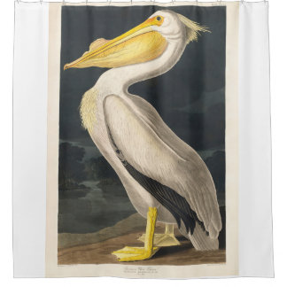 Geremasterde audubon Amerikaanse witte pelikaan Douchegordijn