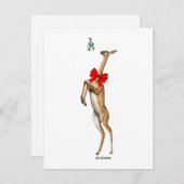 Gerenuk - carte de vacances (Devant / Derrière)
