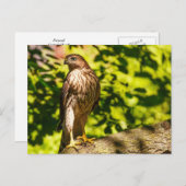 Gericht Briefkaart (Voorkant / Achterkant)