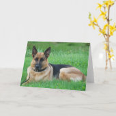 Germain - Carte de voeux de chien (Fleur jaune)