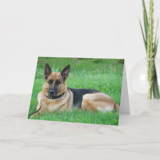 Germain - Carte de voeux de chien