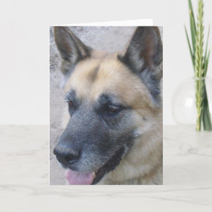 German Shepard Birthday Card Kaart
