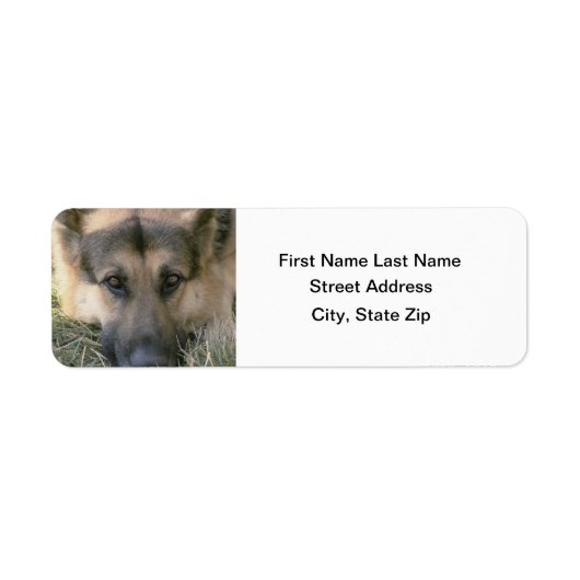 German Shepard Etiket (Voorkant)