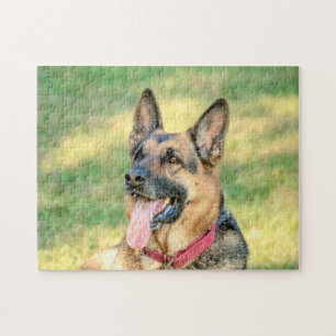 German Shepard Legpuzzel