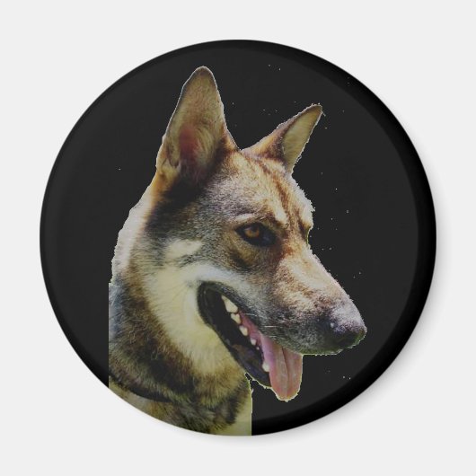 German Shepard Magnet Magneet (Voorkant)