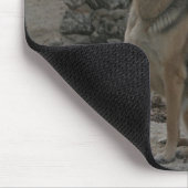 German Sheperd Muismat (Hoek)