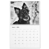 German Shepherd Adventure Calendar Kalender (Mar 2026)